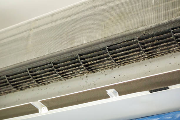 Best Air Duct Cleaning Near Me  in Van Wert, OH