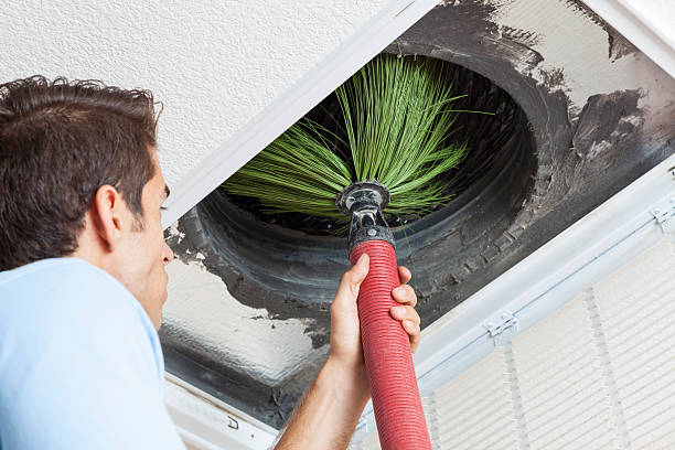 Best Home Air Vent Cleaning  in Van Wert, OH