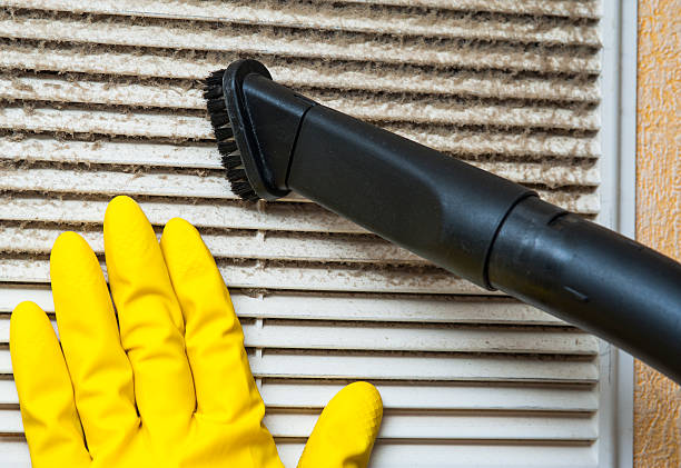 Best Ductwork Cleaning Services  in Van Wert, OH